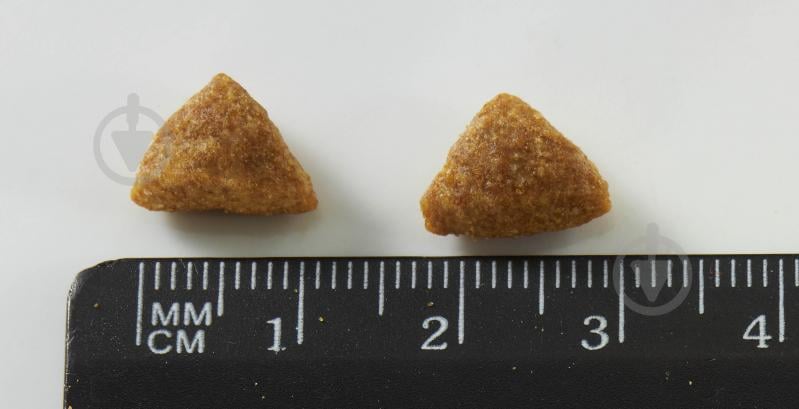 Корм сухой для взрослых стерилизованных кошек ONE by Purina Sterilcat комплекс Bifensis с лососем и пшеницей 800 г - фото 7