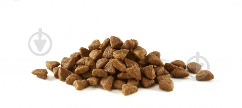 Корм сухой для взрослых стерилизованных кошек ONE by Purina Sterilcat комплекс Bifensis с лососем и пшеницей 800 г - фото 5