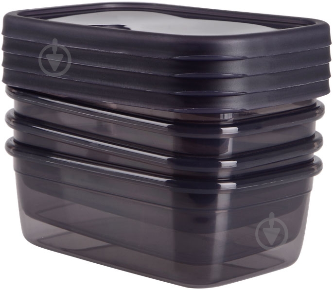 Контейнер харчовий Violet House 0507 pratic набір 4шт. - фото 2 Контейнер харчовий Violet House 0507 pratic набір 4шт. - фото 2