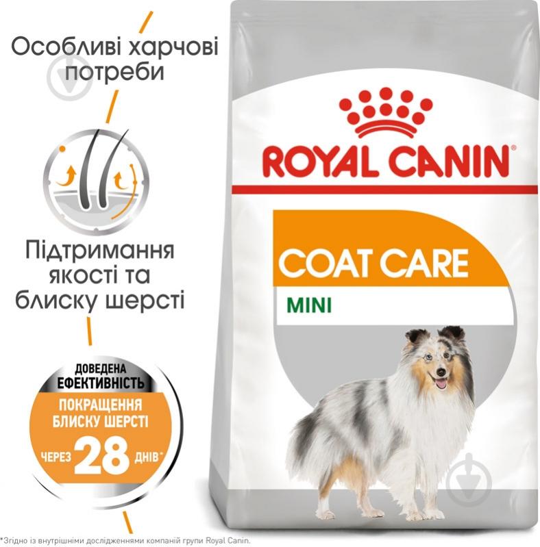 Корм сухий для дорослих собак для малих порід Royal Canin MINI COAT CARE (Міні Коат Кер), 3 кг 3 кг - фото 2