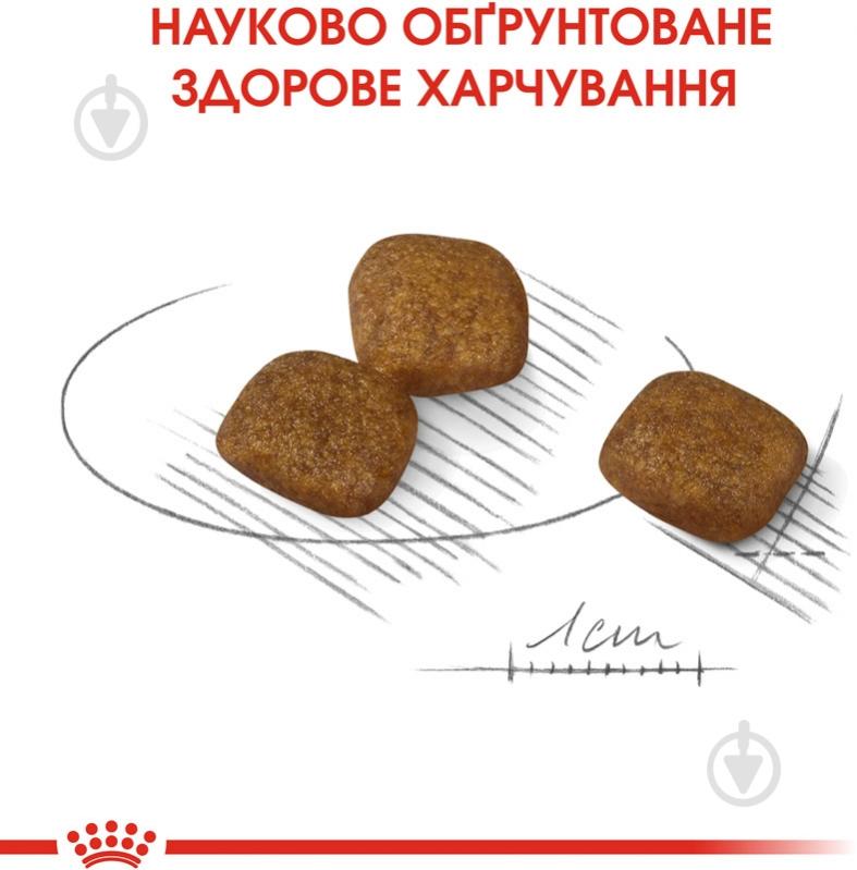 Корм сухий для дорослих собак для малих порід Royal Canin MINI COAT CARE (Міні Коат Кер), 3 кг 3 кг - фото 5