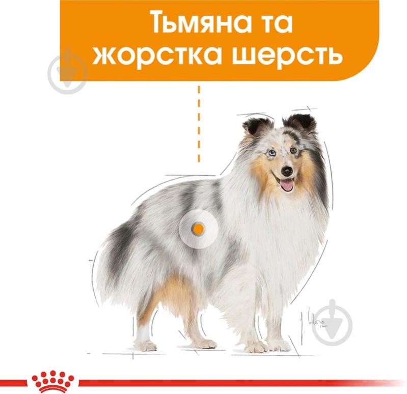Корм сухий для дорослих собак для малих порід Royal Canin MINI COAT CARE (Міні Коат Кер), 3 кг 3 кг - фото 3
