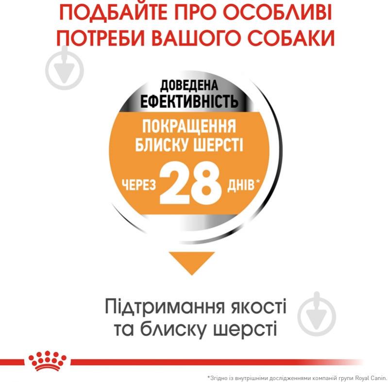 Корм сухий для дорослих собак для малих порід Royal Canin MINI COAT CARE (Міні Коат Кер), 3 кг 3 кг - фото 4