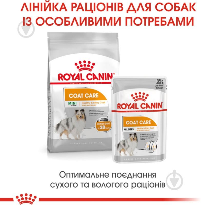 Корм сухий для дорослих собак для малих порід Royal Canin MINI COAT CARE (Міні Коат Кер), 3 кг 3 кг - фото 6