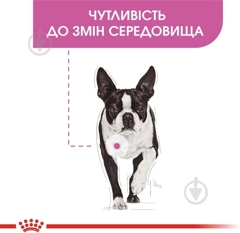 Корм сухой для взрослых собак для малых пород Royal Canin MINI RELAX CARE (Мини Релакс Кер), 3 кг 3 кг - фото 3