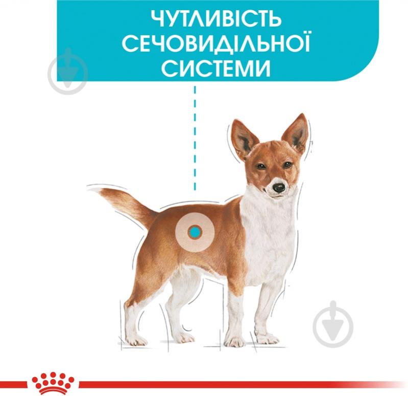 Корм сухой для взрослых собак для малых пород Royal Canin MINI URINARY CARE (Мини Уринари Кер), 3 кг 3 кг - фото 3