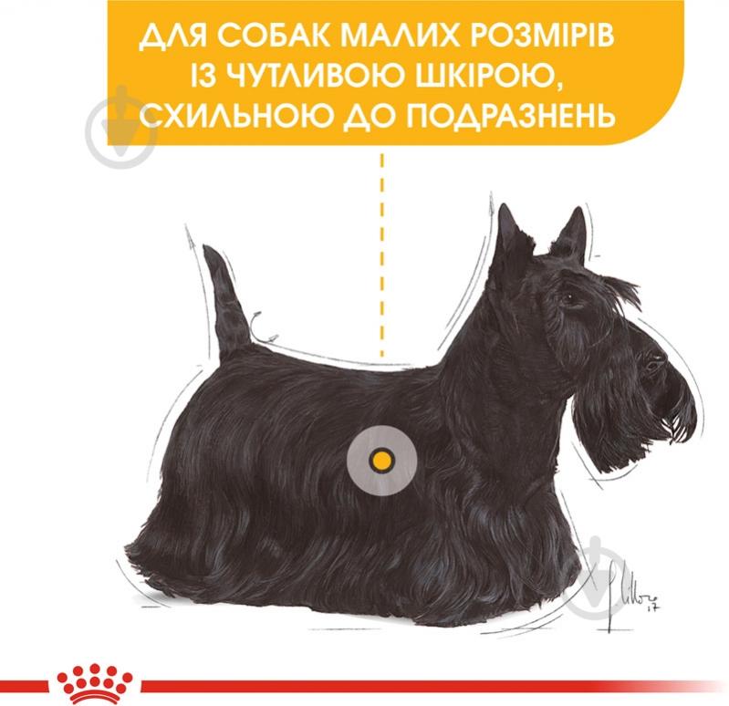 Корм сухой для взрослых собак для малых пород Royal Canin MINI DERMACOMFORT (Мини Дермакомфорт), 3 кг 3 кг - фото 3 Корм сухой для взрослых собак для малых пород Royal Canin MINI DERMACOMFORT (Мини Дермакомфорт), 3 кг 3 кг - фото 3