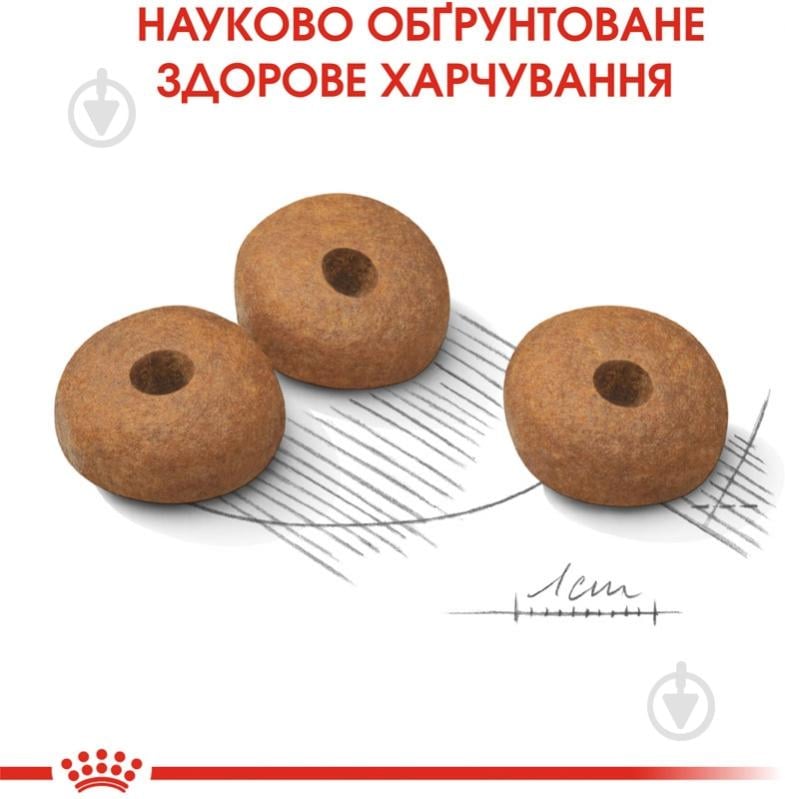 Корм сухой для взрослых собак для малых пород Royal Canin MINI LIGHT WEIGHT CARE (Мини Лайт Вейт Кер), 3 кг 3 кг - фото 5