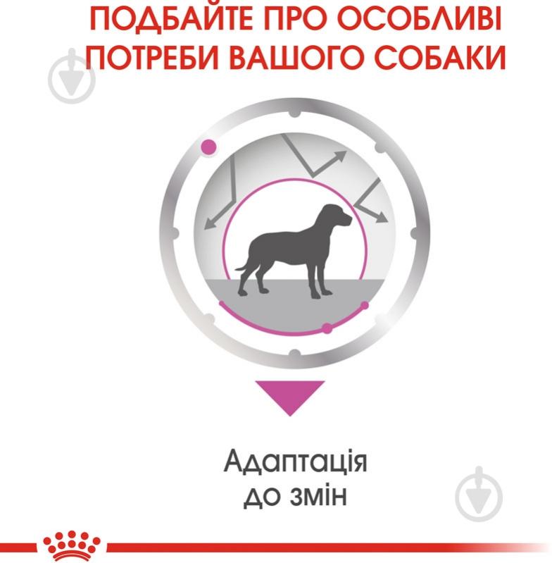 Корм влажный для взрослых собак для всех пород Royal Canin RELAX CARE (Ол Сайзес Релакс Кер), пауч, 85 г 85 г - фото 4 Корм влажный для взрослых собак для всех пород Royal Canin RELAX CARE (Ол Сайзес Релакс Кер), пауч, 85 г 85 г - фото 4