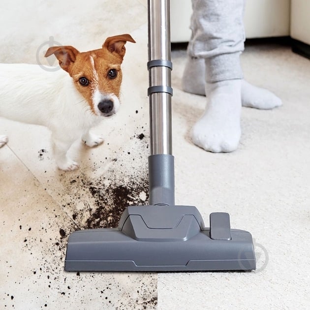 Пилосос миючий THOMAS DRYBOX AMFIBIA PET black/orange - фото 13