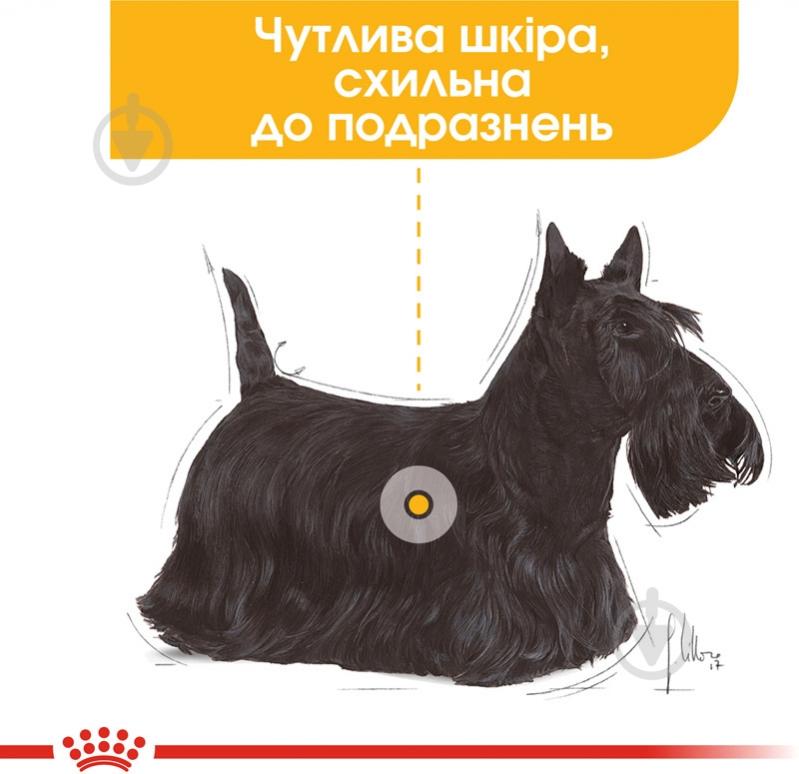 Корм влажный для взрослых собак для всех пород Royal Canin DERMACOMFORT LOAF (Ол Сайзес Дермакомфорт), пауч, 85 г 85 г - фото 3