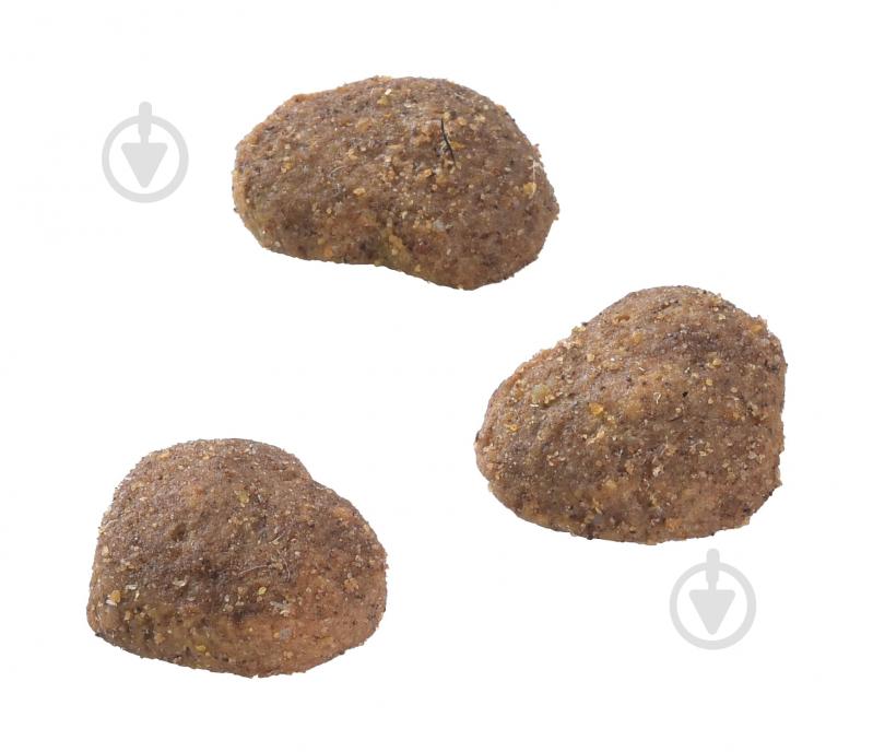 Ласощі Brit Care Snack Superfruits Lamb ягня 100 г - фото 4 Ласощі Brit Care Snack Superfruits Lamb ягня 100 г - фото 4