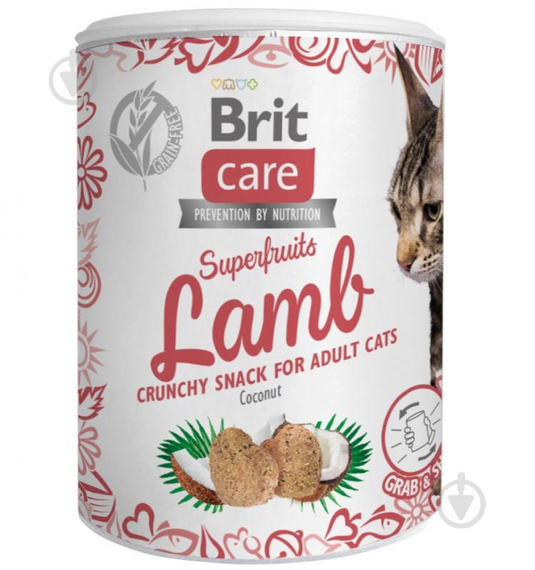Ласощі Brit Care Snack Superfruits Lamb ягня 100 г - фото 1 Ласощі Brit Care Snack Superfruits Lamb ягня 100 г - фото 1