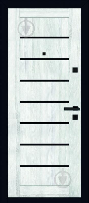 Двері вхідні TM Riccardi Стандарт 10Q-LEGO 10 BG чорний оксамит / клен айс 2050х860 мм праві - фото 2 Двері вхідні TM Riccardi Стандарт 10Q-LEGO 10 BG чорний оксамит / клен айс 2050х860 мм праві - фото 2