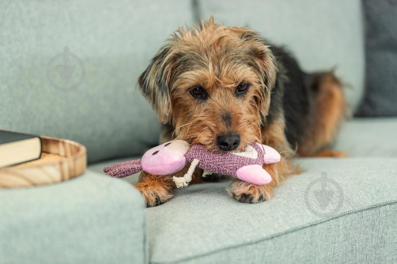 Игрушка для собак Trixie Заяц 24 см - фото 3