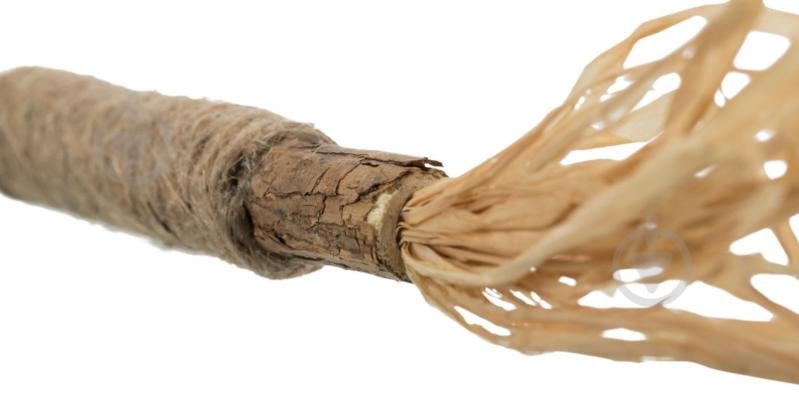 Игрушка для котов Trixie Палочка из мататаби с кистями 24 см - фото 3 Игрушка для котов Trixie Палочка из мататаби с кистями 24 см - фото 3