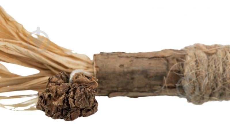 Игрушка для котов Trixie Палочка из мататаби с кистями 24 см - фото 4 Игрушка для котов Trixie Палочка из мататаби с кистями 24 см - фото 4