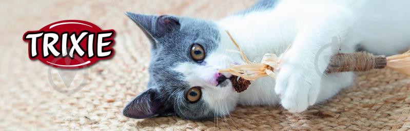 Игрушка для котов Trixie Палочка из мататаби с кистями 24 см - фото 5 Игрушка для котов Trixie Палочка из мататаби с кистями 24 см - фото 5