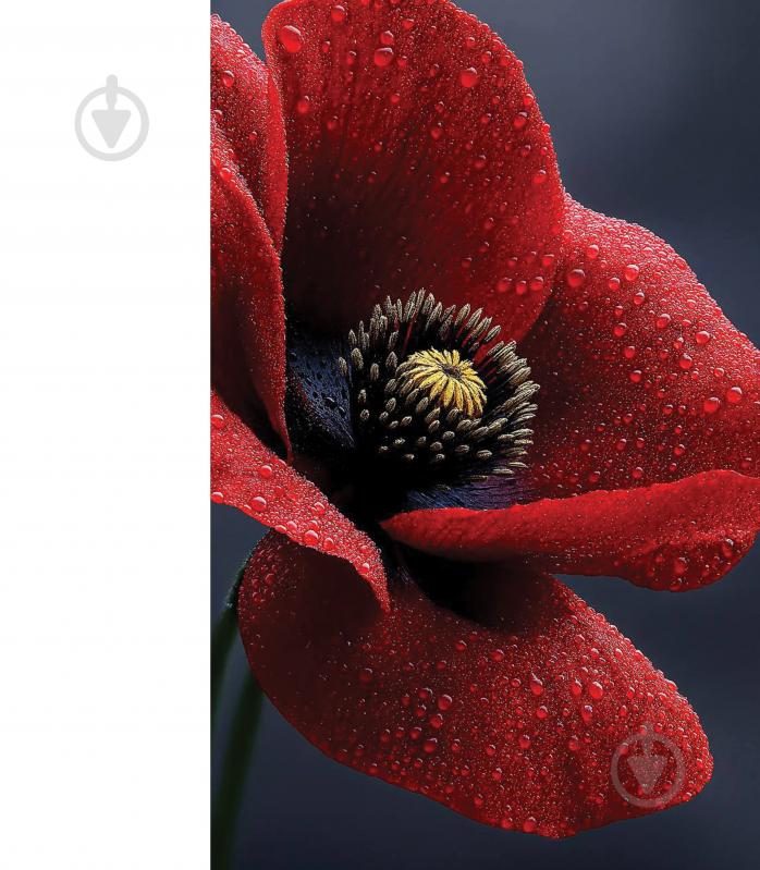 Пакет подарочный для растений "EA+" - фото 3