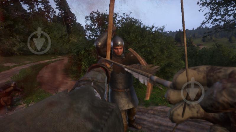 Карта NINTENDO Kingdom Come: Deliverance Royal Edition NS - фото 2