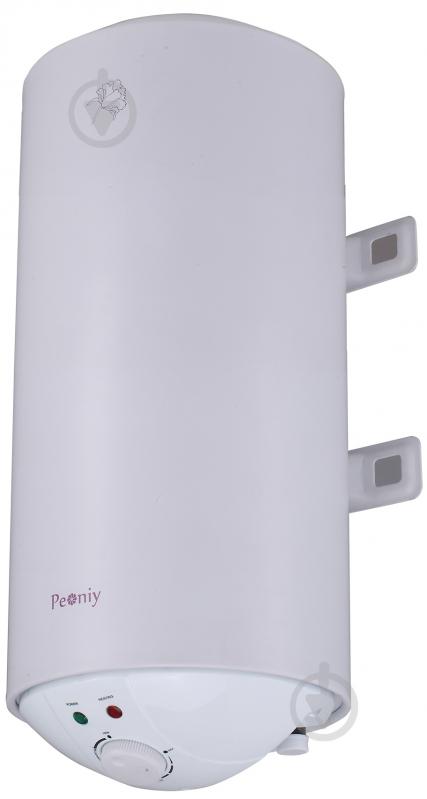 Бойлер Peoniy Palermo P-MEVH-15R - фото 2