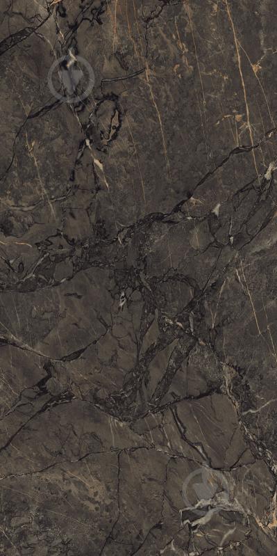 Плитка Cerossa Ceramica Mogan brown sugar carving dark 60x120 см - фото 2