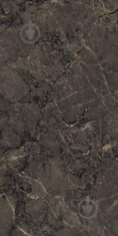 Плитка Cerossa Ceramica Mogan brown sugar carving dark 60x120 см - фото 4