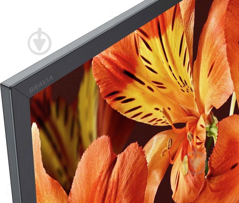 Телевизор Sony KD75XF8596BR2 - фото 4