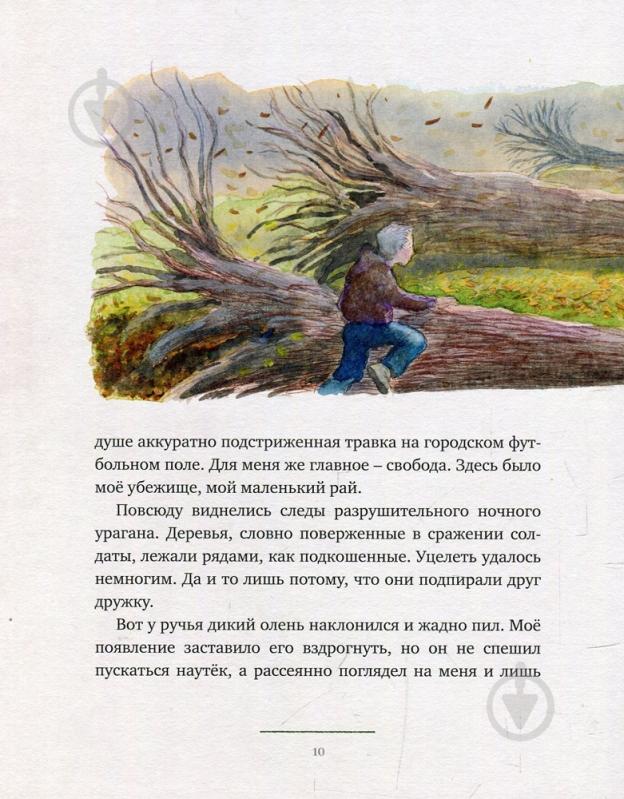 Книга «Робин Гуд» 978-5-389-14613-6 - фото 4