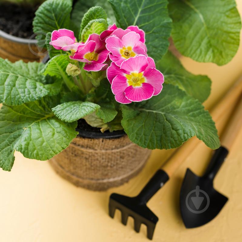 Субстрат универсальный Biovita 20 л - фото 3