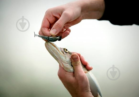 Виброхвост Basic Lures Vanquisher 50 мм 8 шт. 2" (701) - фото 5