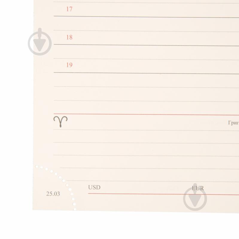 Щоденник датований Credo 368 стор. Leo Planner A5 2026 252647 чорний - фото 13