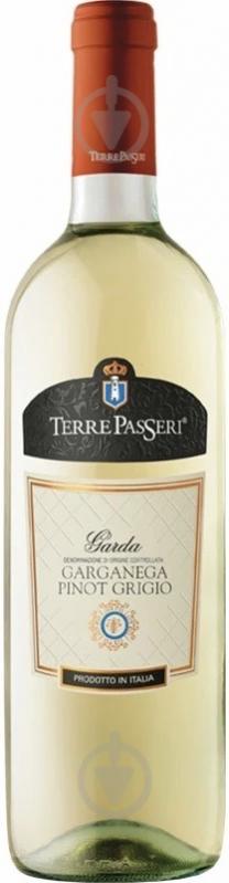 Вино Terre Passeri Pinot Grigio Garganega біле сухе 0,75 л - фото 1