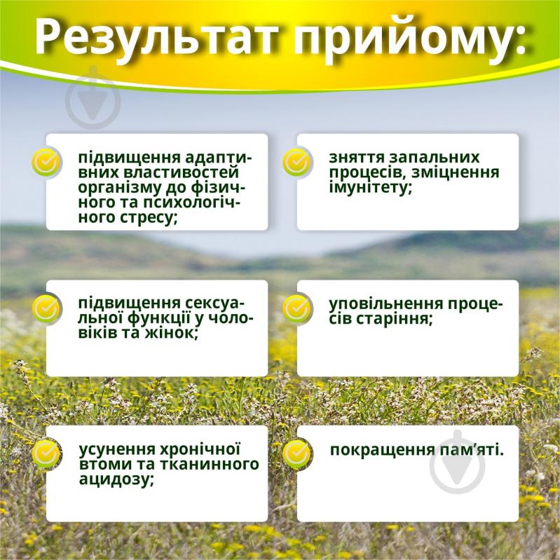 Капсули New Food Technologies Ашваганда супер концентрат по 500 мг 60 шт. - фото 5
