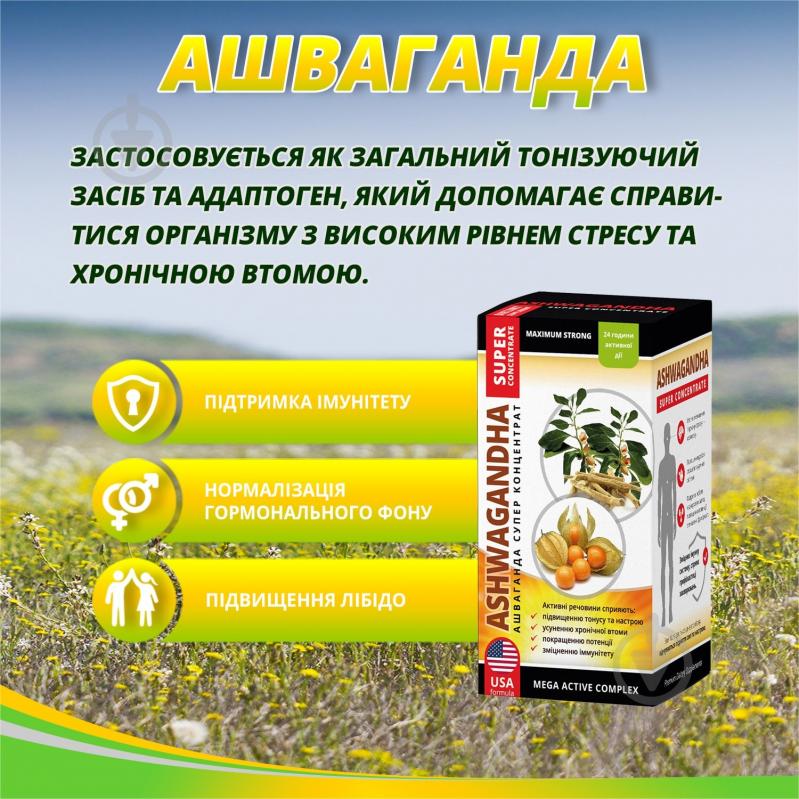 Капсули New Food Technologies Ашваганда супер концентрат по 500 мг 60 шт. - фото 3