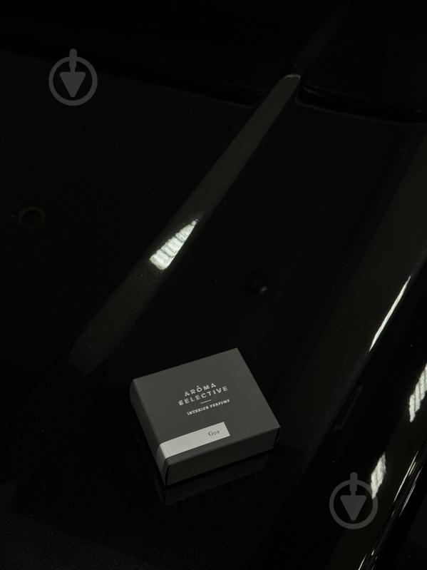 Ароматическое саше Aroma Selective GOA - фото 2