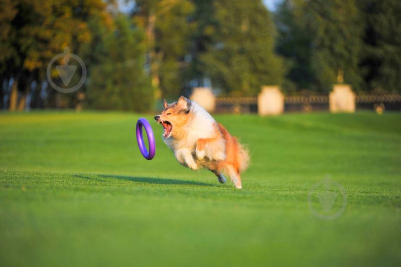 Снаряд тренувальний Puller Standard для собак 28 см - фото 7