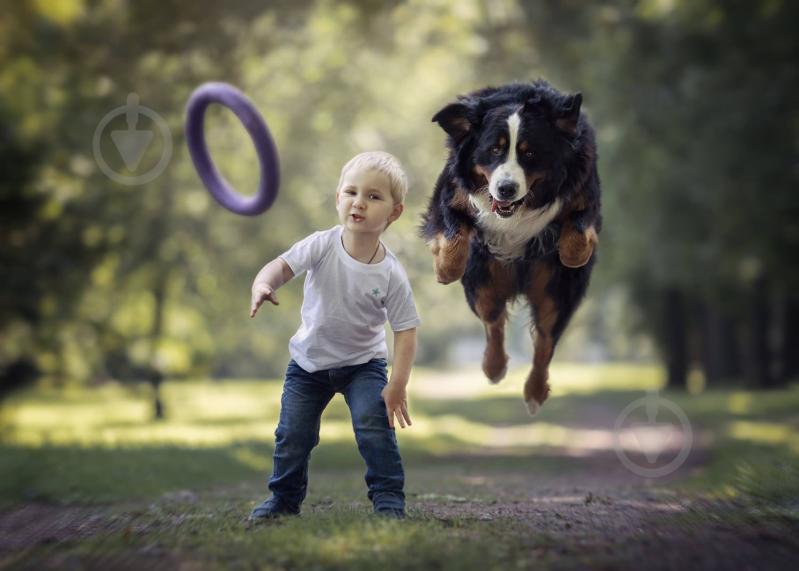 Снаряд тренувальний Puller Standard для собак 28 см - фото 8