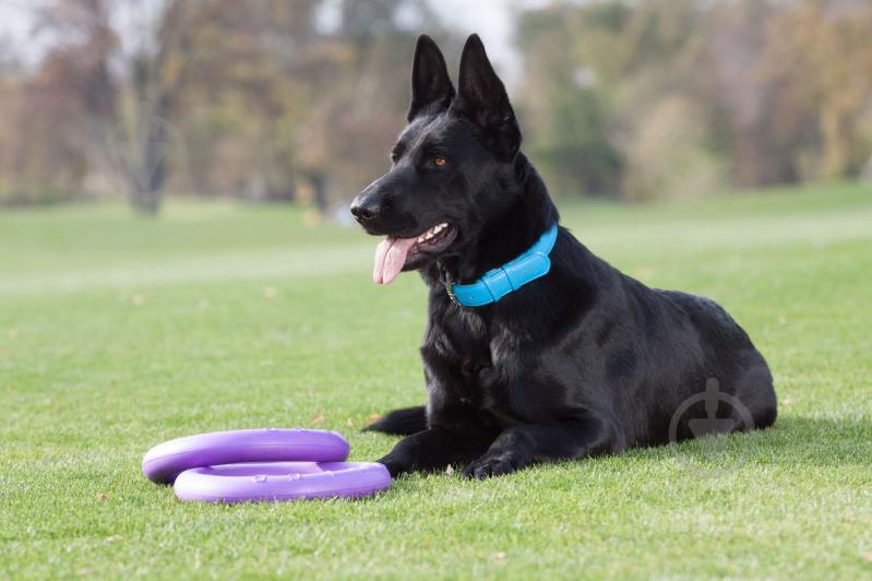 Снаряд тренувальний Puller Standard для собак 28 см - фото 6