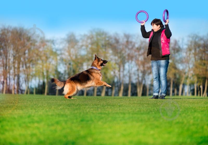 Снаряд тренувальний Puller Standard для собак 28 см - фото 2