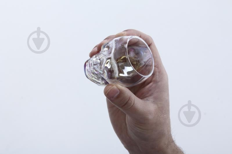 Рюмка Fiora Skull стекло 100 мл 1 шт. - фото 6