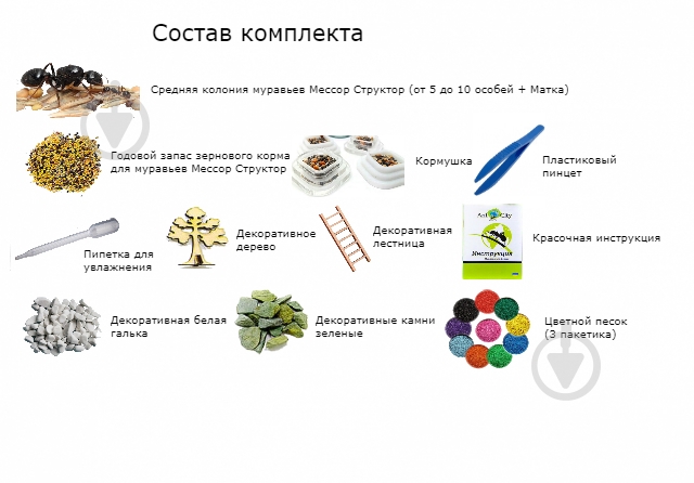 Ферма мурашина Стандарт Амазонка комплект для новачка - фото 3