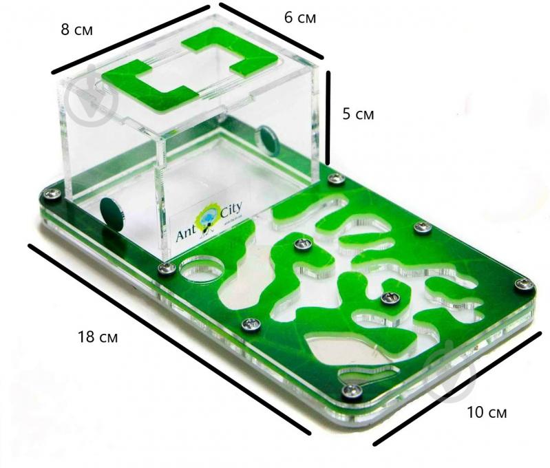 Ферма муравьиная Смарт Амазонка комплект для новичка - фото 3
