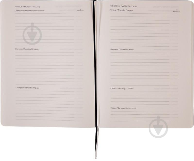 Дневник недатированный синий клетка Axent Partner Soft 8605-21-02-a - фото 2