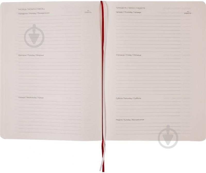 Дневник недатированный красный клетка Axent Partner Soft 8605-21-06-a - фото 3