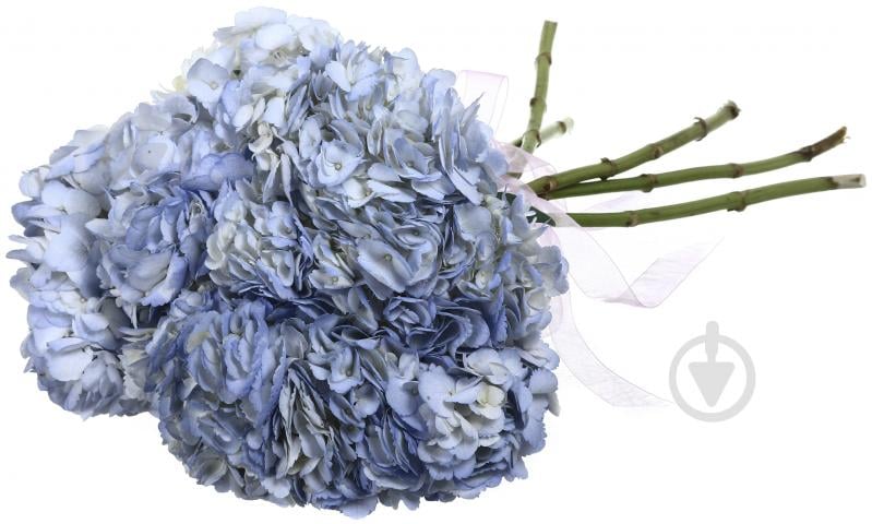 Гортензия Jumbo фиолетовый - фото 4