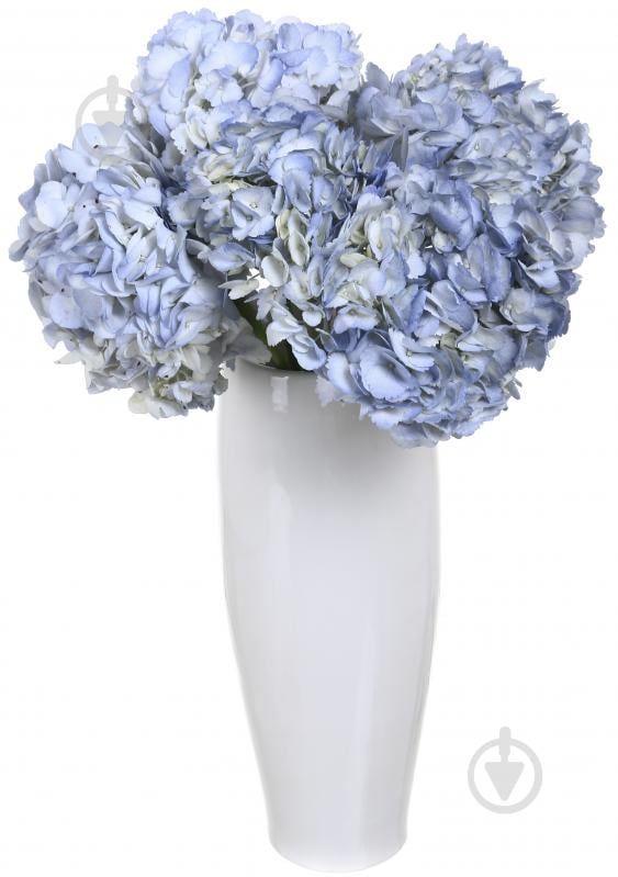 Гортензия Jumbo фиолетовый - фото 3