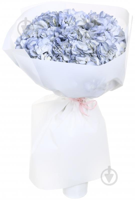 Гортензия Jumbo фиолетовый - фото 1