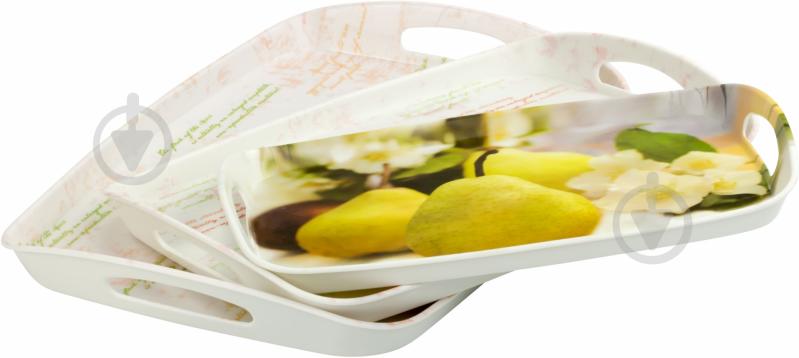 Набор подносов Фрукты 3 шт 69014/16/18-F - фото 4