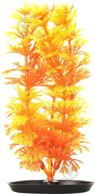 Растение Hagen Ambulia orange 13 см - фото 1